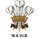 wavib_logo