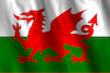 Welsh- FLAG small